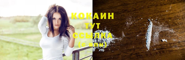 прущие крисы Каменка