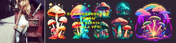 прущие крисы Каменка