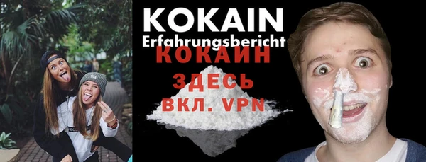 прущие крисы Каменка