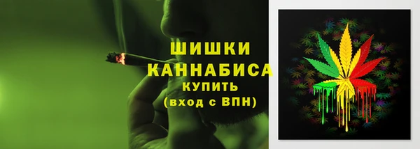 прущие крисы Каменка