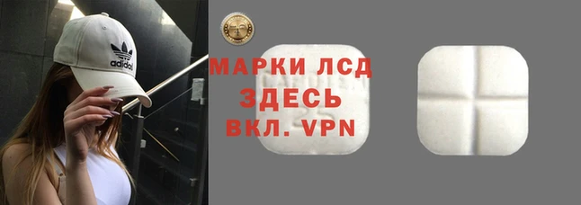 ГАЛЛЮЦИНОГЕННЫЕ ГРИБЫ Каменногорск