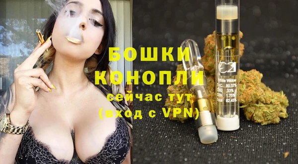 ГАЛЛЮЦИНОГЕННЫЕ ГРИБЫ Каменногорск