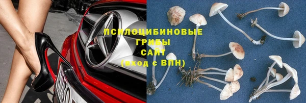 ГАЛЛЮЦИНОГЕННЫЕ ГРИБЫ Каменногорск