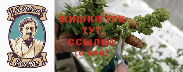 ГАЛЛЮЦИНОГЕННЫЕ ГРИБЫ Каменногорск