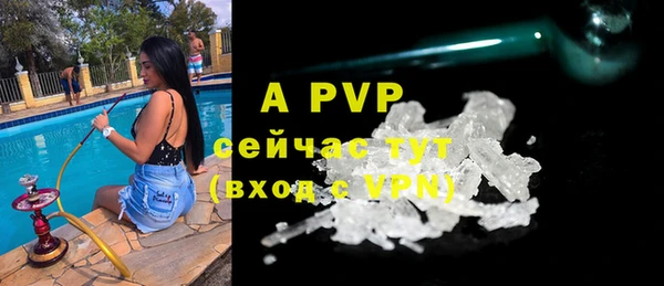 ГАЛЛЮЦИНОГЕННЫЕ ГРИБЫ Каменногорск