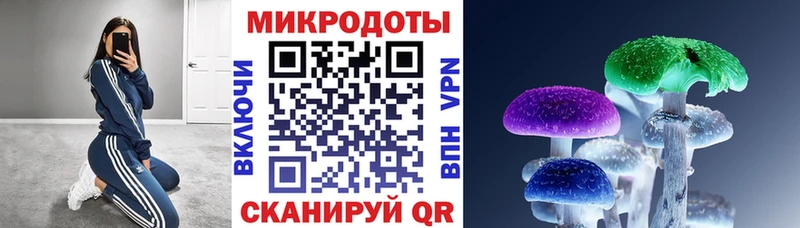 Псилоцибиновые грибы прущие грибы  Псков 