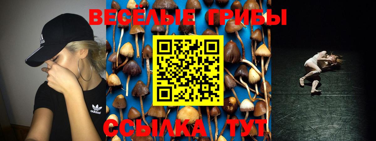 Псков  Галлюциногенные грибы GOLDEN TEACHER  Галлюциногенные грибы мухоморы  продажа наркотиков  Вход с VPN 